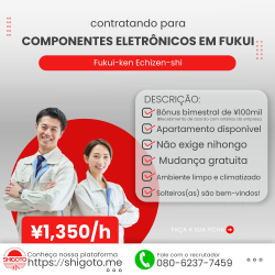 Componentes eletrônicos em Fukui