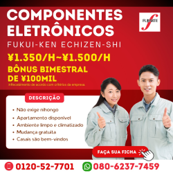 Componentes eletrônicos em Fukui