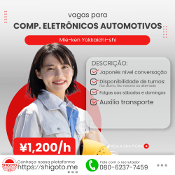 Comp. eletrônicos automotivos