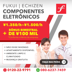 Componentes eletrônicos em Fukui