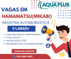 INDUSTRIA AUTOMOBILÍSTICA