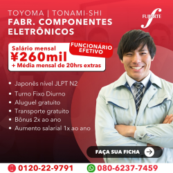 Fabr. Componentes Eletrônicos em Toyama