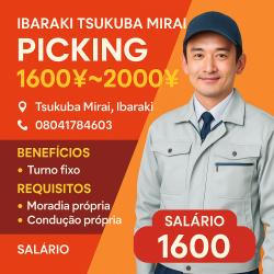Ibaraki Tsukuba mirai picking 1600￥~2000￥