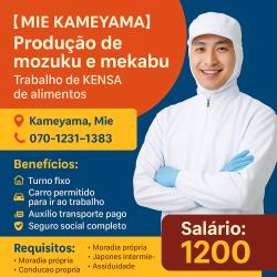 【Mie Kameyama】Produção de mozuku e mekabu Trabalho de KENSA de alimentos