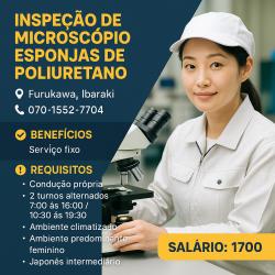 inspecao  de microscopio esponjas de poliuretano