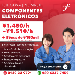 Componentes Eletrônicos em Ishikawa