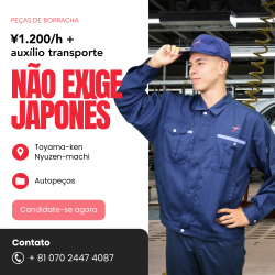 Operação e Inspeção Autopeças - Sem Japonês (Nyuzen‑machi)