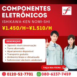 Componentes Eletrônicos em Ishikawa